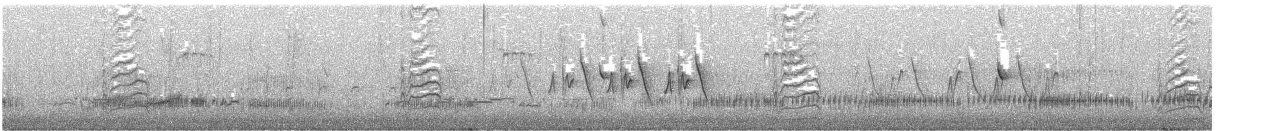 Green-tailed Towhee - ML645922980
