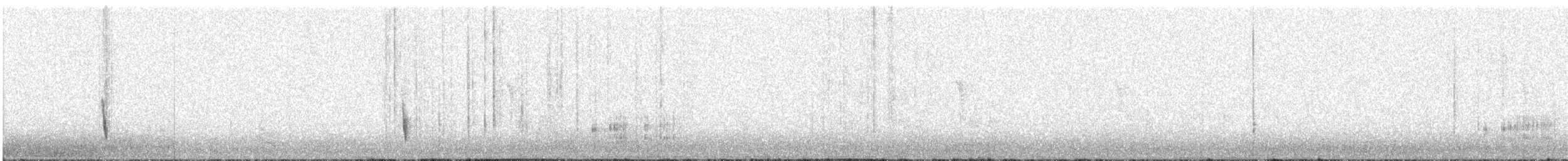 Hermit Thrush - ML645923131