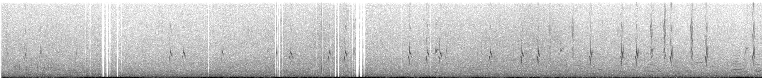 Red Crossbill - ML645923626