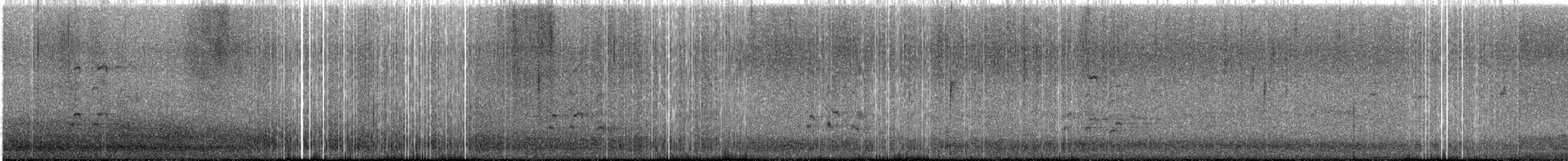 Пёстрый улит - ML645923881