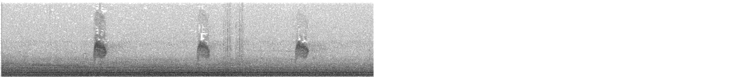 Common Nighthawk - ML645923997