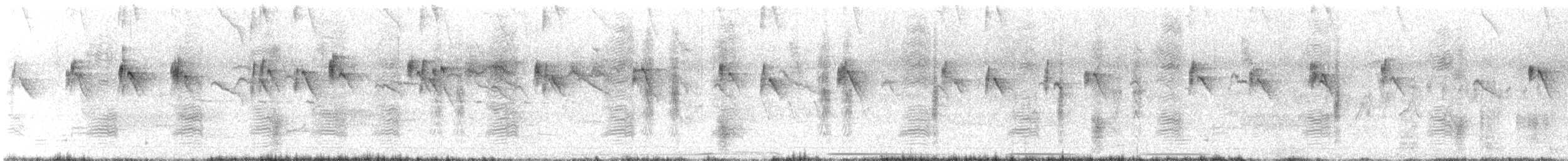 Tirano Oriental - ML645924215