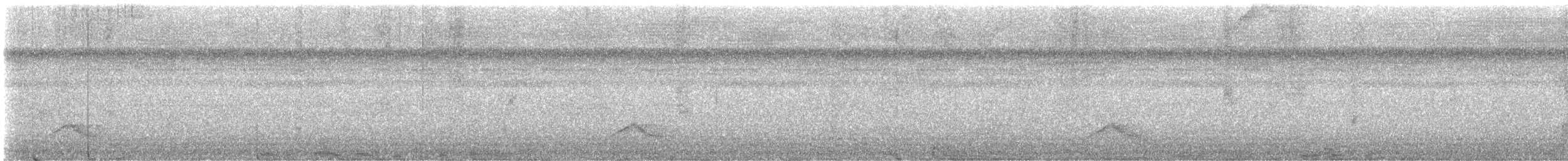 Common Pauraque - ML645924271