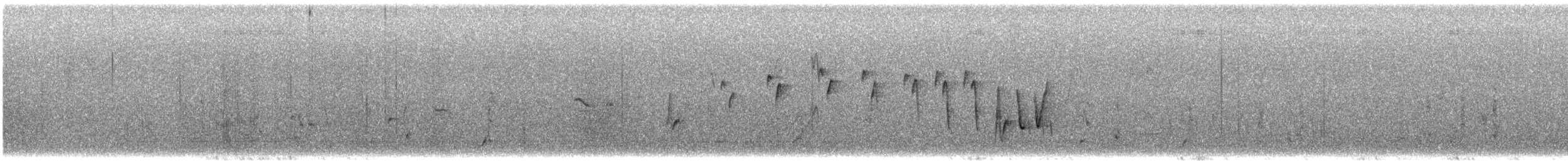 Noisy Scrub-bird - ML645925067