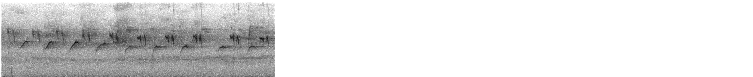 Spotted Scrubwren - ML645925173