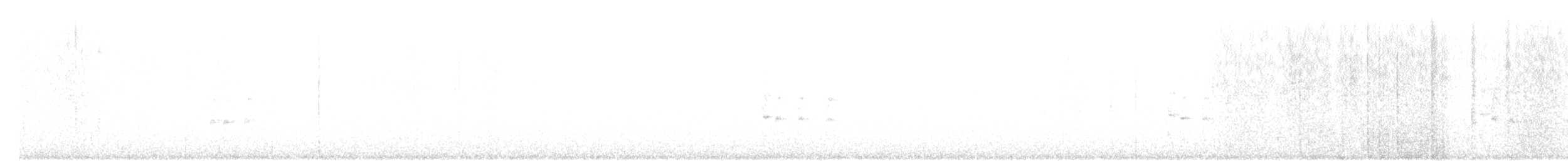 Uroilanda virginiarra - ML645925287