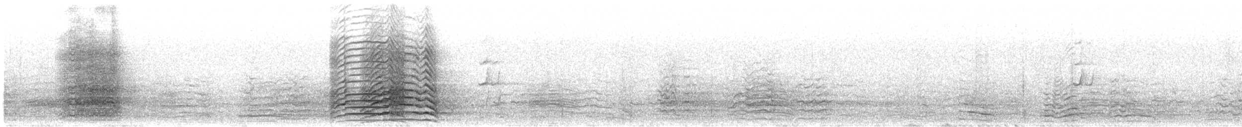 Batılı Korella Kakadusu - ML645925481