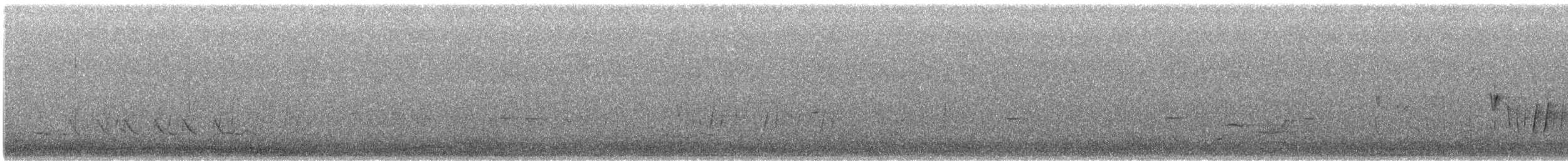 Yellow-plumed Honeyeater - ML645925513