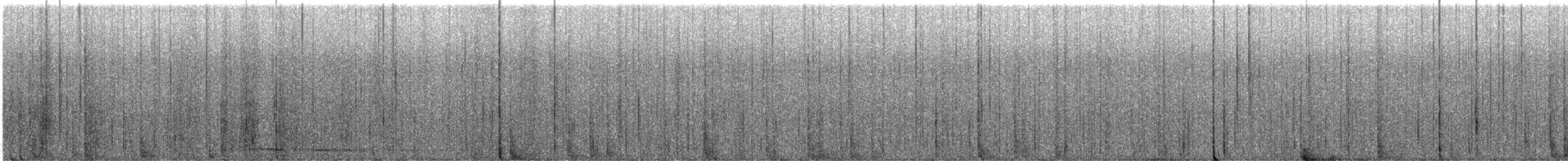 Tasmanian Boobook - ML645925613