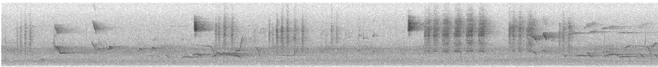Tasmanian Scrubwren - ML645925747