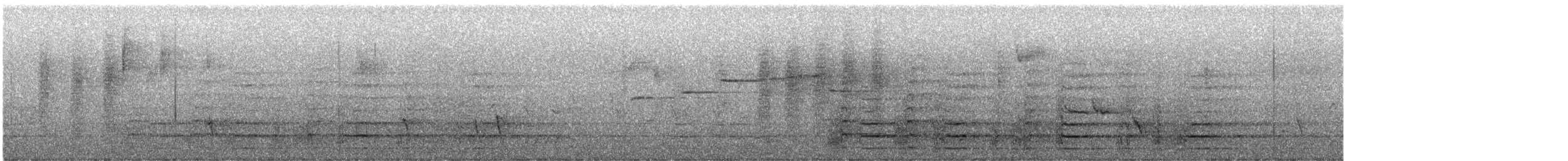 Black Currawong - ML645925793