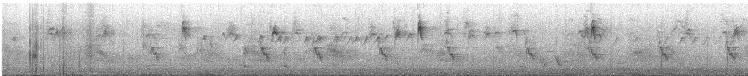 Tasmanian Nativehen - ML645925889