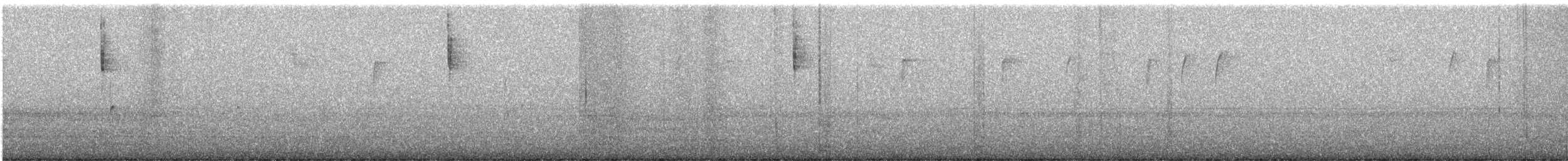 サメズアカアメリカムシクイ - ML645926297