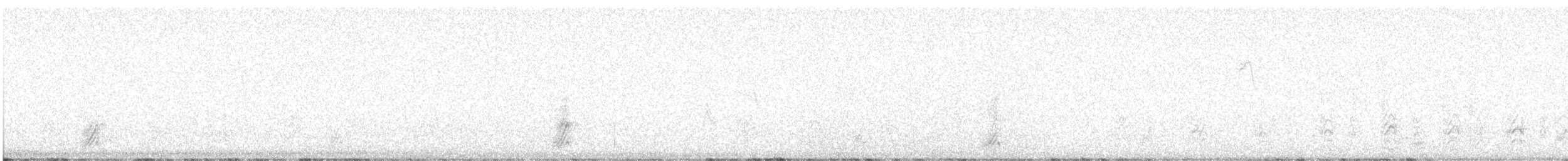 straka žlutozobá - ML645926349