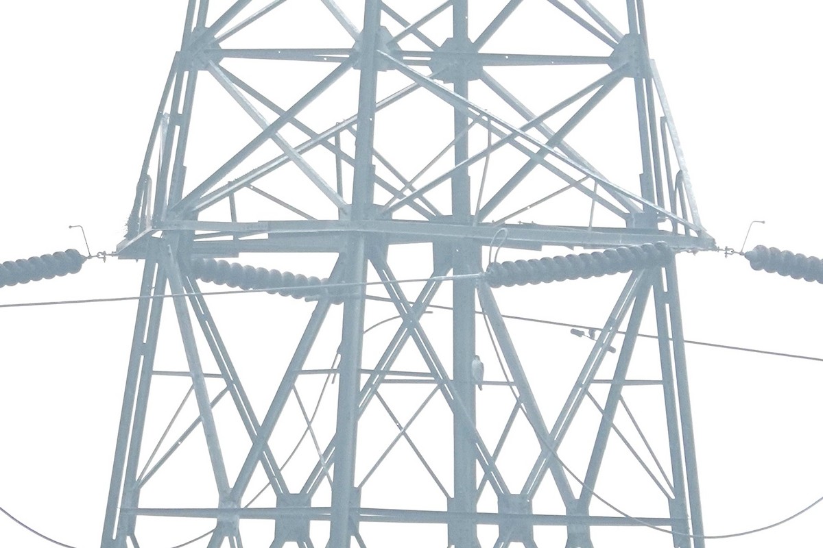 Faucon pèlerin - ML645926778