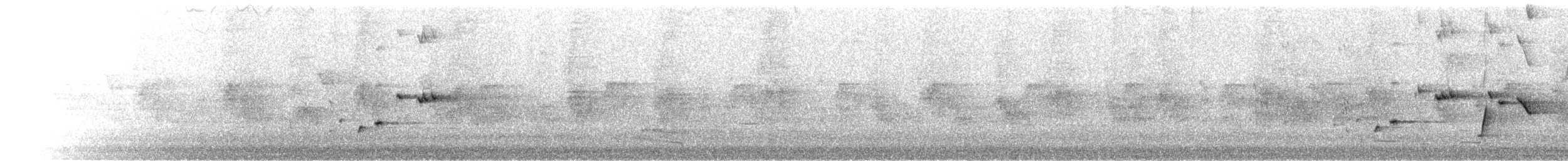 Willie-wagtail - ML645927289