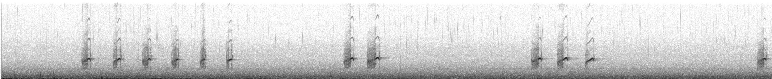 Gray-tailed Tattler - ML645927607