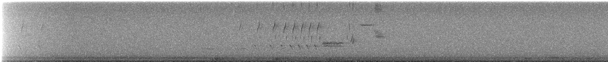 Chingolo Cantor - ML645927752