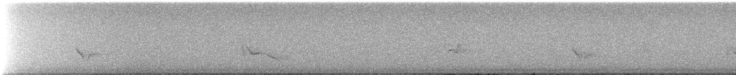 Vireo Solitario - ML645927763