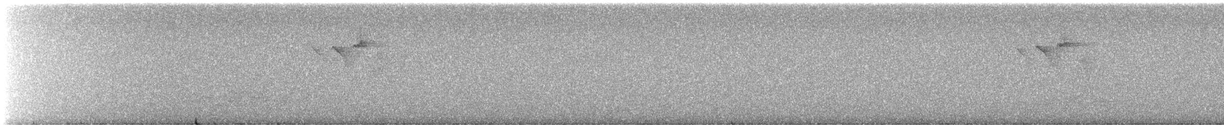 Candelita Norteña - ML645927895