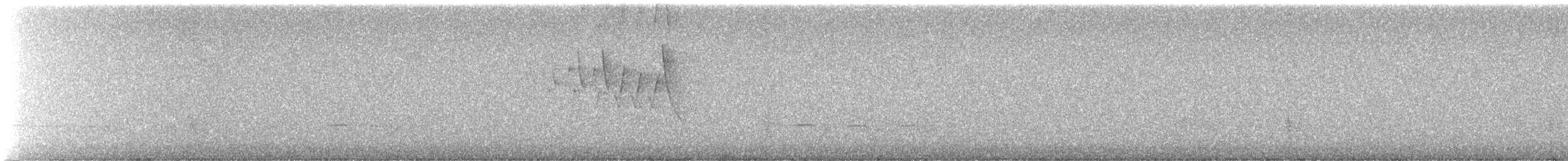 Reinita de Pensilvania - ML645927977