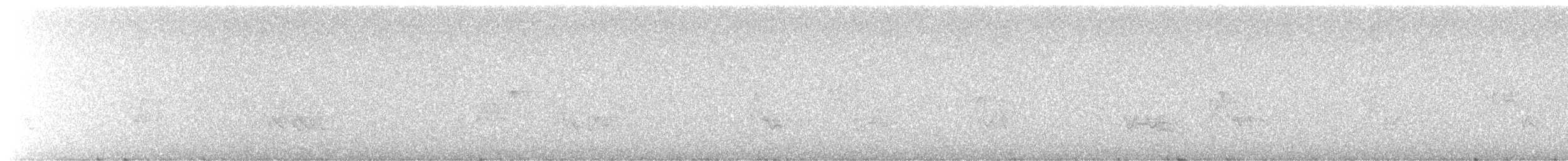 Reinita Azulada - ML645928004