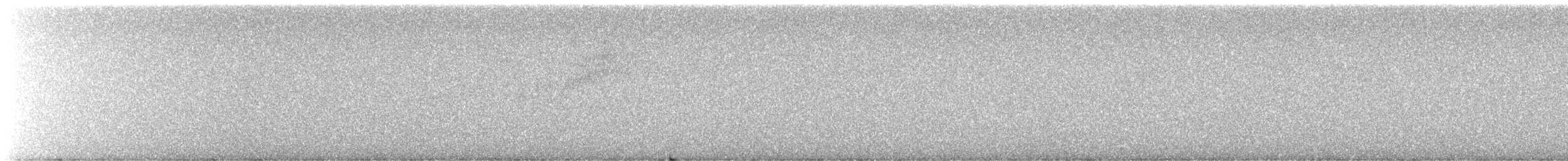 Reinita Azulada - ML645928006