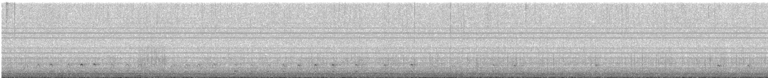 Picamaderos Norteamericano - ML645928109