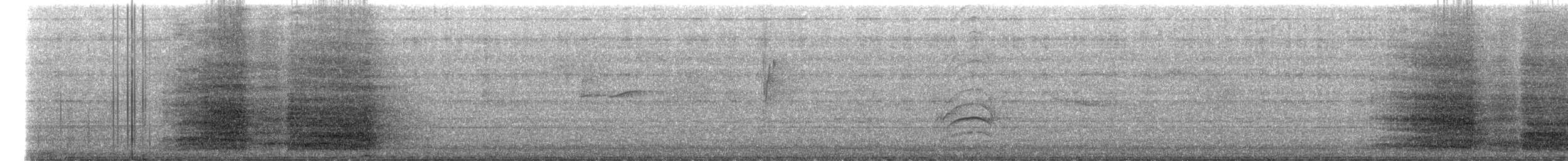 Guacamayo Macao - ML645928228