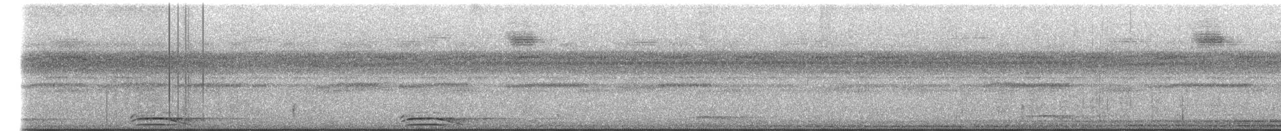 Carnifex à collier - ML645928360