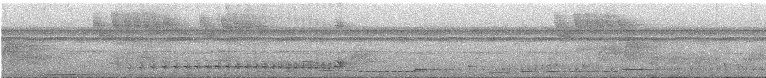 Barred Antshrike - ML645928444