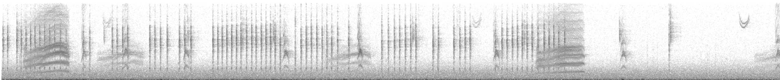 Spotted Towhee - ML645928544