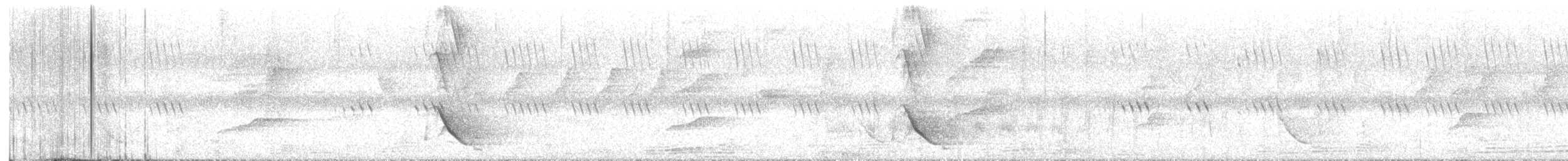 Black-hooded Oriole - ML645929281