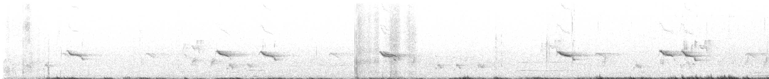 Pied Bushchat - ML645929366