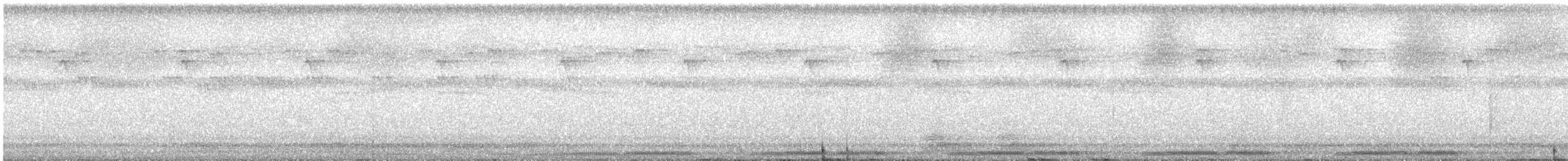 Marbled Frogmouth (Plumed) - ML645929615