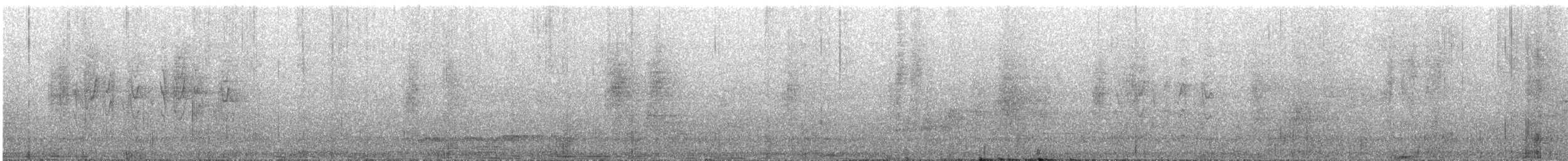 Australian Spectacled Monarch - ML645929772