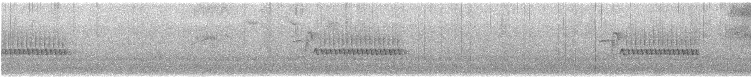 シロハラミソサザイ - ML645929958