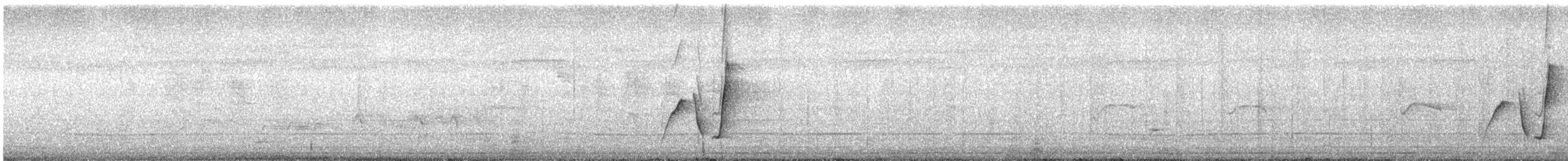 Golden Whistler (Eastern) - ML645930094