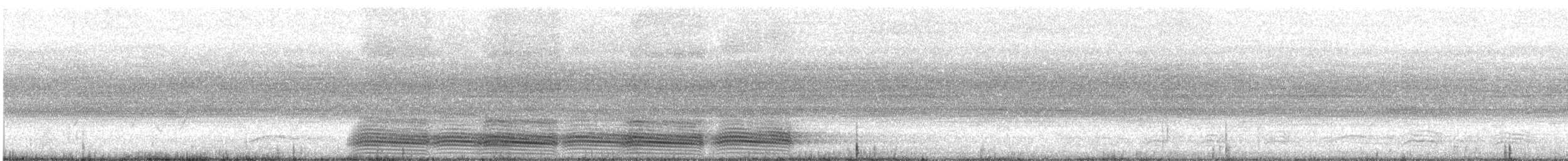 vrána australská - ML645930099