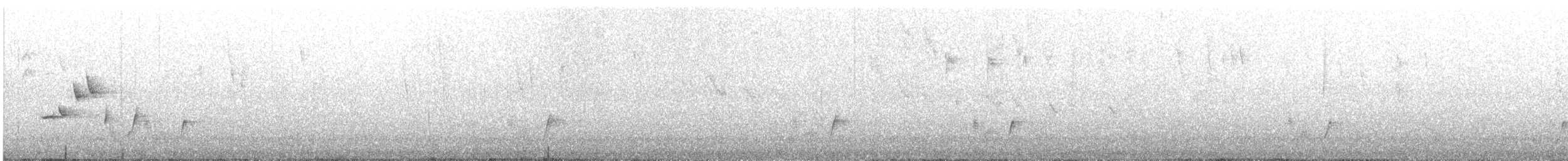 Brown Thornbill - ML645930323