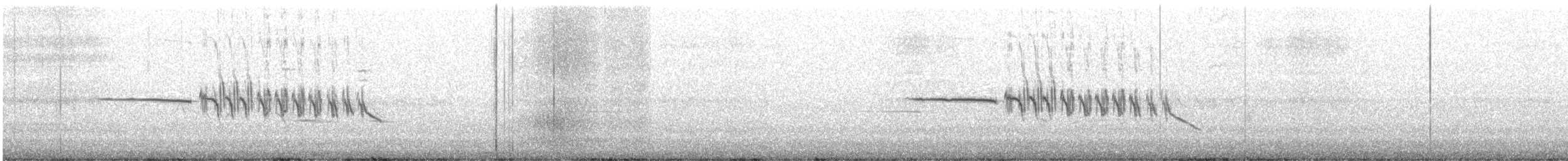 strnadec bělopásý - ML645930330