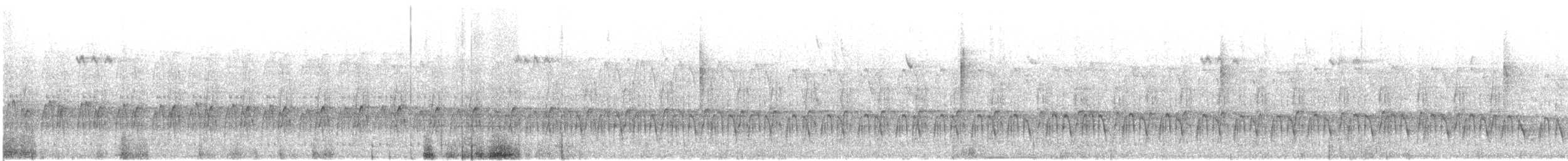 kur skvrnitý - ML645930352