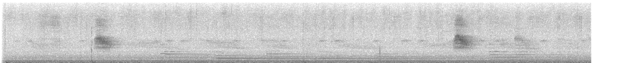 Arabazozo pikarta - ML645930517