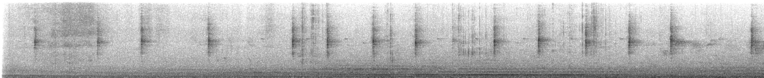 Plain Flowerpecker - ML645930664