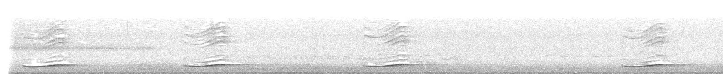 Pacific Koel - ML645931005