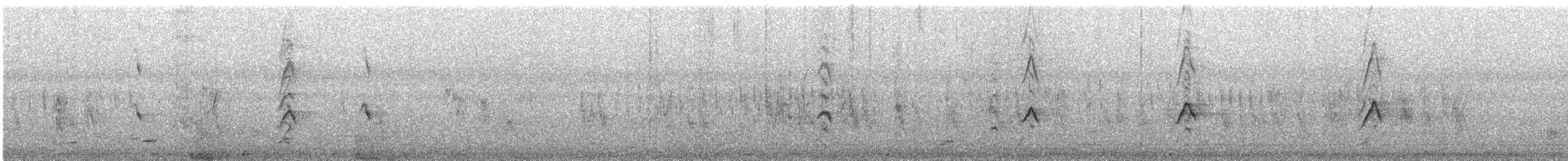 Майна індійська - ML645931012