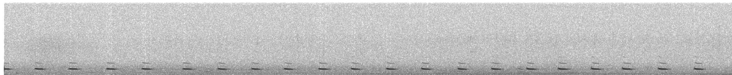 Unspotted Saw-whet Owl - ML645932137