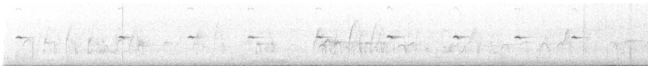 חכלילית סיבירית - ML645932866