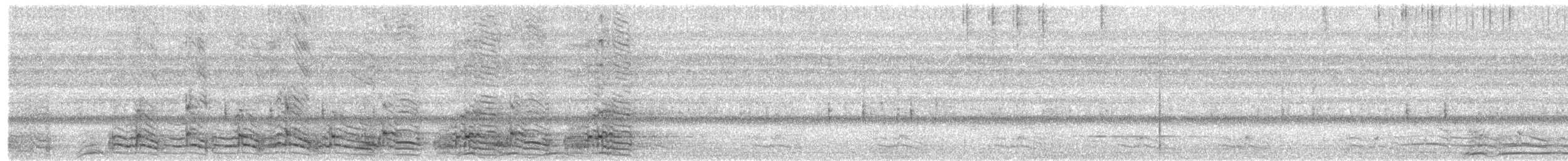 Yellow-crowned Amazon - ML645933506