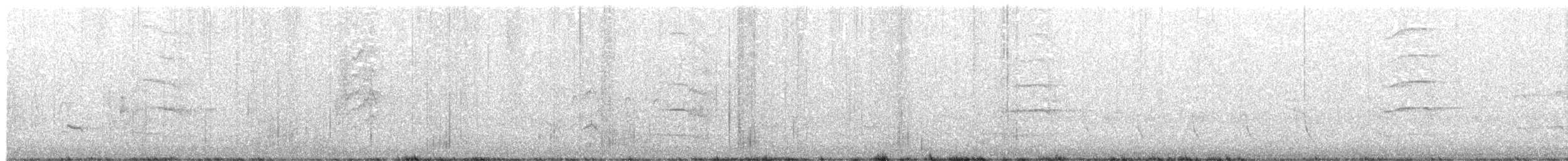 White-winged Chough - ML645933810